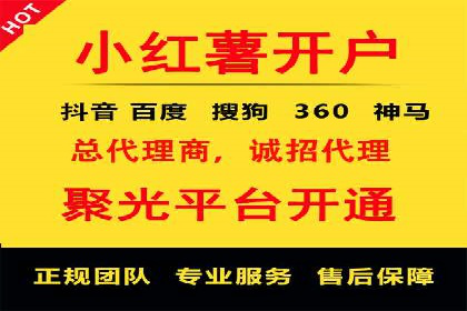 SEM推广在本地化服务中的应用案例